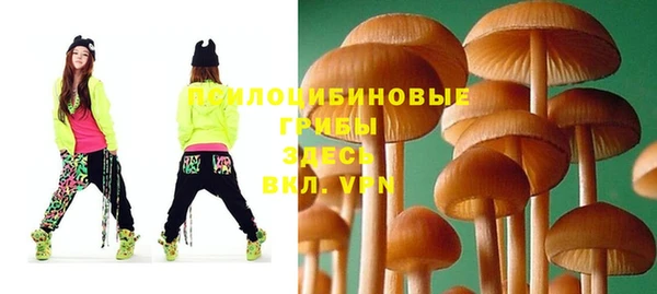 твердый Армянск