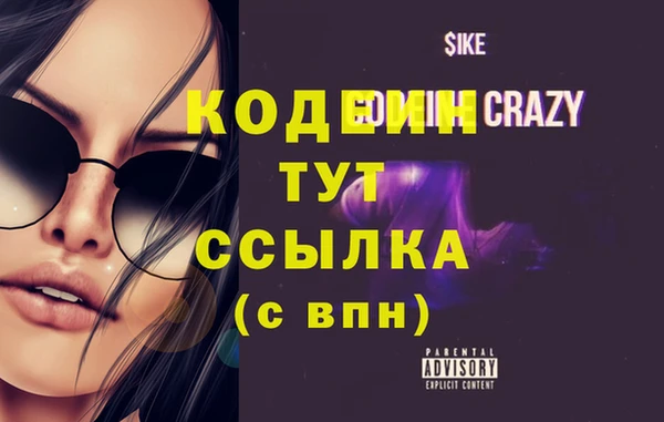 хмурый Алзамай