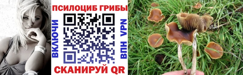 Галлюциногенные грибы мухоморы Дорогобуж