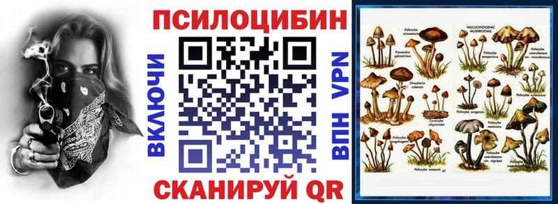 Псилоцибиновые грибы Cubensis  купить  сайты  Дорогобуж 